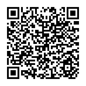 QR Code for Asia-Pacific Forestry Commission: The First Fifth Years