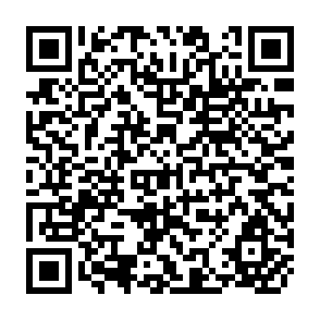 QR Code for Food Subsidies in Developing Countries