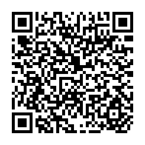 QR Code for Maize in Human Nutrition