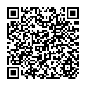 QR Code for The Uruguay Round Follow-Up and Multilateral Trade Negotiations on Agriculture