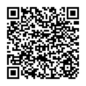 QR Code for The Free Trade Adventure: The WTO, the Uruguay Round and Globalism- A Critique