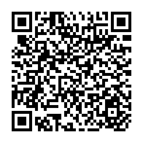 QR Code for Organic Food and Beverages: World Supply and Major European Markets