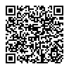 QR Code for Seeding Solutions