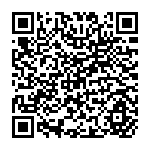 QR Code for Gender roles and child nutrition in livstock production systems in developing Countries: A critical review