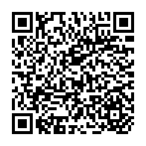 QR Code for Non-Governmental organizations and world bank-supported projects: A review