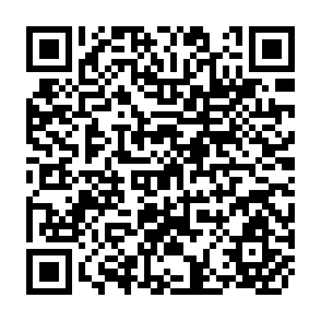 QR Code for Evaluation Capacity Development in Planning Monitoring, and Evaluation