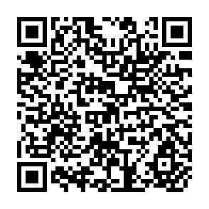 QR Code for Farmers in the Market Economy