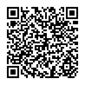 QR Code for Rise to Globalism