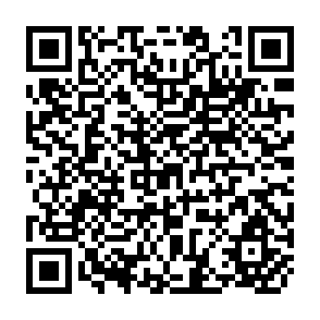 QR Code for Decisive Forces in World Economics
