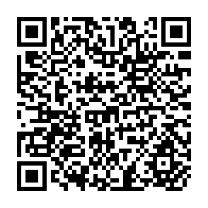 QR Code for Reforming Public Institutions and Strengthening Governance