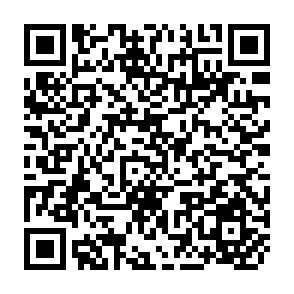 QR Code for Factors Affecting Urban Demand for Live Sheep: The Case of Addis Ababa, Ethiopia