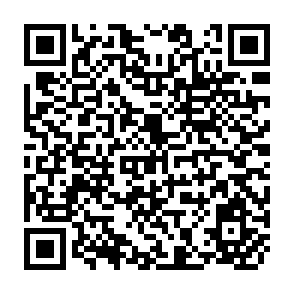 QR Code for Who Takes Care of the Rural Elderly? Analysis of Family Arrangrment for Old-Age Security in Rural China