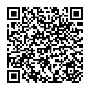 QR Code for Network Building and the Institutional Environment :A case Study of Innovation Strategies of the European Commission