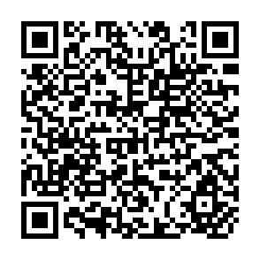 QR Code for Social Actors in the Global Market: Socio-Economic Impacts of Shrimp Aquaculture in South Sulawesi, Indonesia