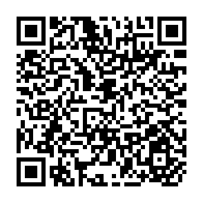 QR Code for Amino-Acid Content of Foods and Biological Data on Proteins