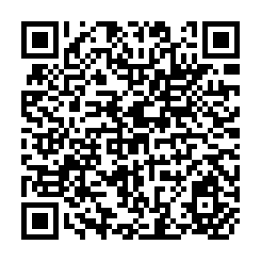 QR Code for Basin-level Use and Productivity of Water: Examples of South Asia