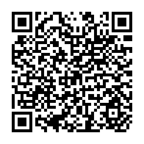 QR Code for Taking care of what we have- Participatory Natural Resource Management on the Caribbean Coast of Nicaragua