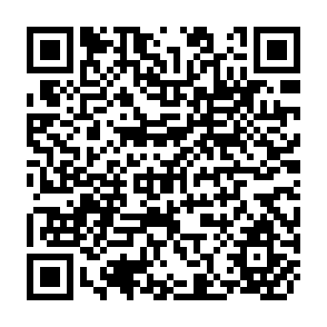 QR Code for The International Economy- Third Edition