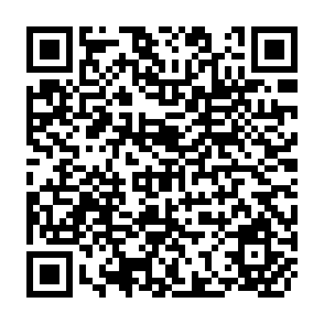 QR Code for Rainwater Catchment Systems for Domestic Supply