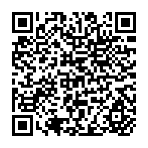 QR Code for What Makes People Cook with Improved Biomass Stoves?