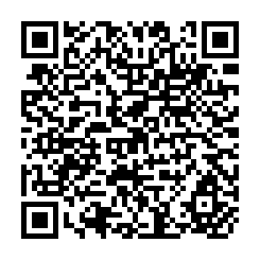 QR Code for Catch Them Young