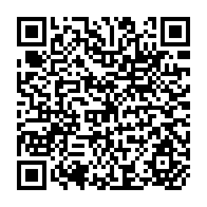 QR Code for World Development Report 2000/2001