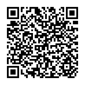 QR Code for The Other Crisis