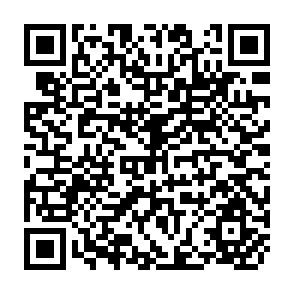 QR Code for Partnerships for Development