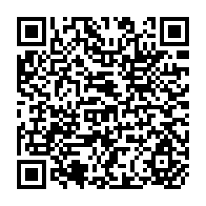 QR Code for South Asia's Integration into the World Economy