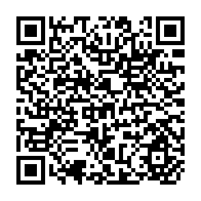 QR Code for Rationality and Irrationality in Economics