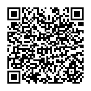 QR Code for Asia and the Pacific National Forest Programmes