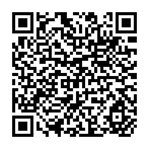 QR Code for Sociology and Development