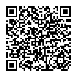 QR Code for Impact Assessment of Irrigation Management Tranfer in the Alto Rio Lerma Irrigation District,Mexico