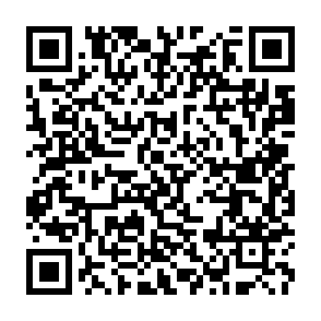 QR Code for Commodity Market Review 1996-97