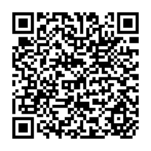 QR Code for Structural Adjustment and Intersectoral Shifts in Tanzania : A Computable General Equilibrium Analysis