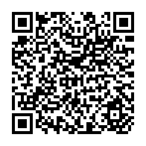 QR Code for Wheat Policy Reform in Egypt