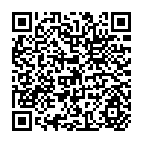 QR Code for Land Capability Classification for Hilly Watersheds Using expert System