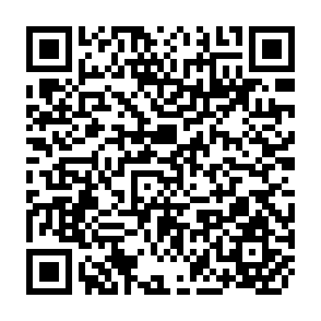 QR Code for Stratefies for Development of Commercial Floriculture in Asia and the Pacific