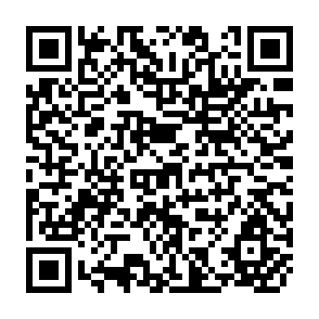 QR Code for Estimating Productivity of Water at Different Spatial Scales Using Simulation Modeling