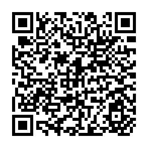 QR Code for Economic Reforms and Rising Inequality in Panama in The 1990s