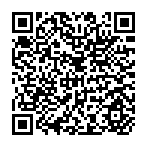 QR Code for Rising Inequality During Economic Liberalisation and Crisis: Macro or Micro Causes in Ecuador's Case?