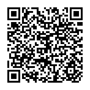 QR Code for Social Capital Migration and Cultural Difference : Beyond Ethnic Economies