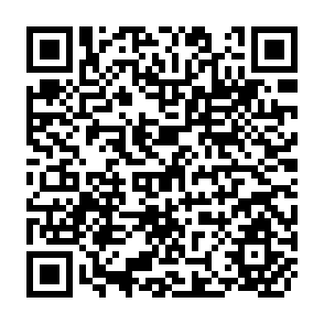QR Code for Global Economic Prospects and the Developing Countries