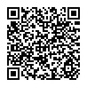 QR Code for Global Economic Prospects and the Developing Countries