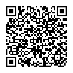QR Code for Global Development Finance Analysis and Summary Tables