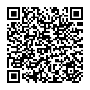 QR Code for Global Development Finance Country Tables
