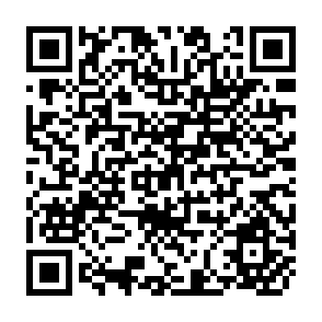 QR Code for Hidden Harvest