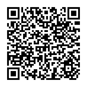 QR Code for Productivity Improvement in Sugar Cane Plantations in Asia