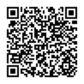 QR Code for Impediments to Regional Economic Cooperation in South Asia