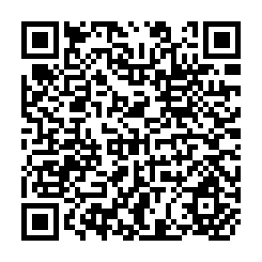 QR Code for The Ethics of Spped :Global Activism After Seattle